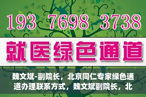魏文斌-副院长，北京同仁专家绿色通道办理联系方式，魏文斌副院长，北京同仁专家绿色通道联系方式全解析