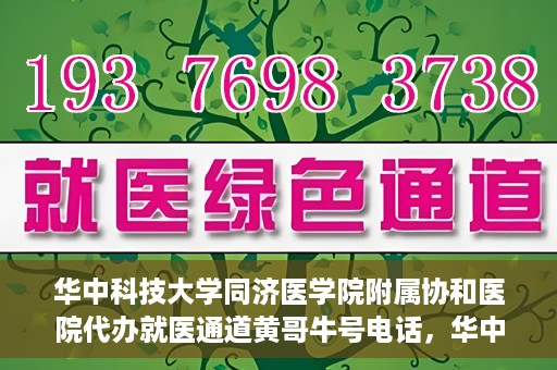 华中科技大学同济医学院附属协和医院代办就医通道黄哥牛号电话，华中科技大学同济医学院附属协和医院代办就医通道揭秘，黄哥牛号联系电话曝光