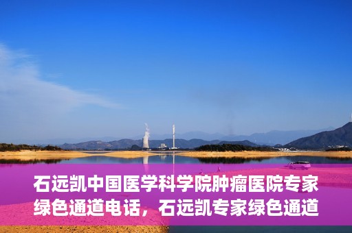 石远凯中国医学科学院肿瘤医院专家绿色通道电话，石远凯专家绿色通道电话，中国医学科学院肿瘤医院权威解读与预约指南