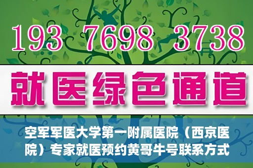 空军军医大学第一附属医院（西京医院）专家就医预约黄哥牛号联系方式，空军军医大学第一附属医院黄哥牛号专家预约联系方式揭秘