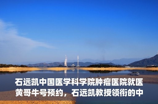 石远凯中国医学科学院肿瘤医院就医黄哥牛号预约，石远凯教授领衔的中国医学科学院肿瘤医院就医攻略，黄哥牛号预约指南