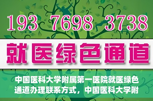 中国医科大学附属第一医院就医绿色通道办理联系方式，中国医科大学附属第一医院就医绿色通道联系指南，快速办理就医手续，轻松享受优质服务！