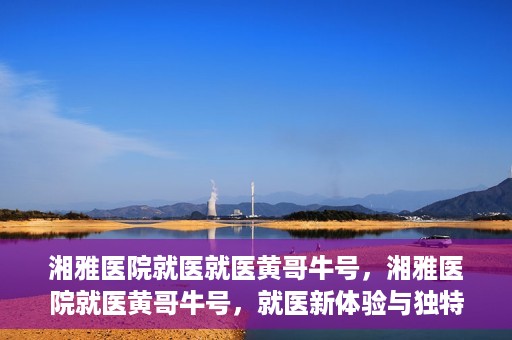 湘雅医院就医就医黄哥牛号，湘雅医院就医黄哥牛号，就医新体验与独特优势揭秘
