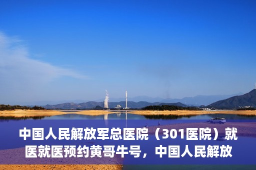 中国人民解放军总医院（301医院）就医就医预约黄哥牛号，中国人民解放军总医院（301医院）黄哥牛号就医预约攻略