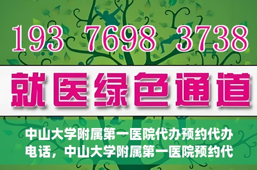 中山大学附属第一医院代办预约代办电话，中山大学附属第一医院预约代办服务热线揭秘