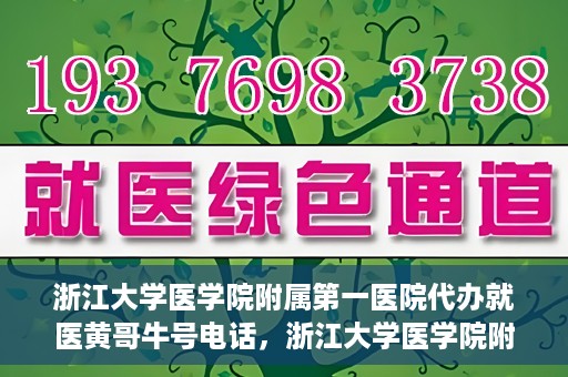 浙江大学医学院附属第一医院代办就医黄哥牛号电话，浙江大学医学院附属第一医院就医代办服务黄哥牛号联系电话揭秘