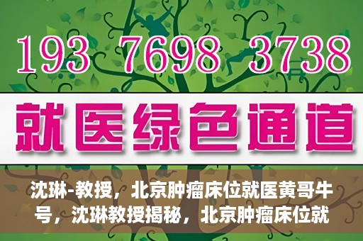 沈琳-教授，北京肿瘤床位就医黄哥牛号，沈琳教授揭秘，北京肿瘤床位就医攻略——黄哥牛号引领健康之路
