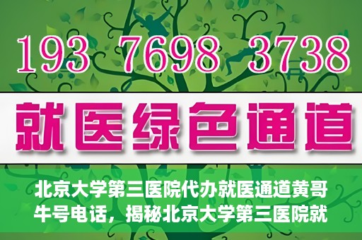北京大学第三医院代办就医通道黄哥牛号电话，揭秘北京大学第三医院就医代办通道背后的黄哥牛号电话秘密