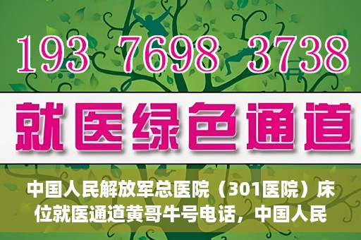 中国人民解放军总医院（301医院）床位就医通道黄哥牛号电话，中国人民解放军总医院（301医院）床位预约就医通道详解，黄哥牛号电话与预约指南