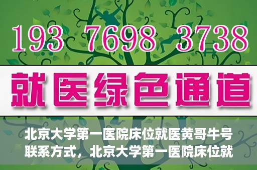 北京大学第一医院床位就医黄哥牛号联系方式，北京大学第一医院床位就医攻略，黄哥牛号联系方式全解析