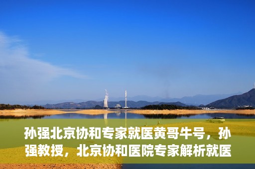 孙强北京协和专家就医黄哥牛号，孙强教授，北京协和医院专家解析就医新号黄哥牛号