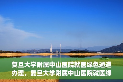 复旦大学附属中山医院就医绿色通道办理，复旦大学附属中山医院就医绿色通道办理详解与指南