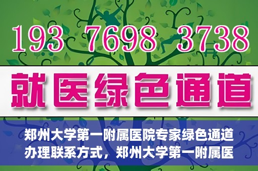 郑州大学第一附属医院专家绿色通道办理联系方式，郑州大学第一附属医院专家绿色通道联系指南，一站式解决您的咨询需求