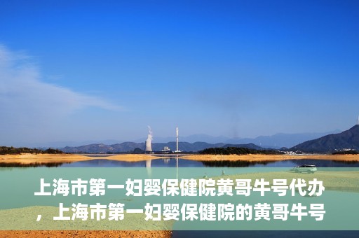 上海市第一妇婴保健院黄哥牛号代办，上海市第一妇婴保健院的黄哥牛号代办服务解析