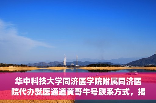华中科技大学同济医学院附属同济医院代办就医通道黄哥牛号联系方式，揭秘黄哥牛号，同济医院就医通道代办联系方式与操作指南