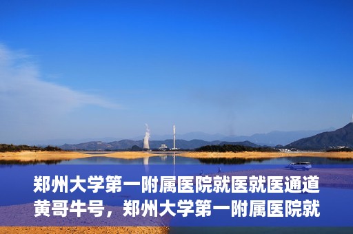 郑州大学第一附属医院就医就医通道黄哥牛号，郑州大学第一附属医院就医通道解析，黄哥牛号的实践之路