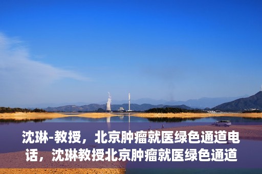 沈琳-教授，北京肿瘤就医绿色通道电话，沈琳教授北京肿瘤就医绿色通道热线电话揭秘