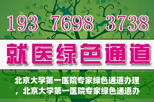 北京大学第一医院专家绿色通道办理，北京大学第一医院专家绿色通道办理详解，一站式解决就医难题