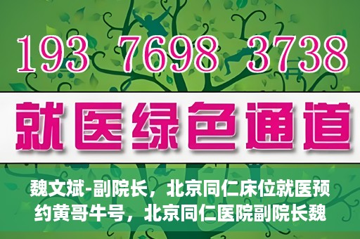 魏文斌-副院长，北京同仁床位就医预约黄哥牛号，北京同仁医院副院长魏文斌揭秘床位预约秘籍——黄哥牛号引领就医新风尚