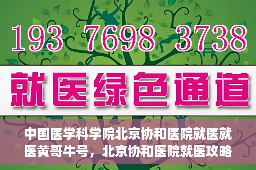 中国医学科学院北京协和医院就医就医黄哥牛号，北京协和医院就医攻略，黄哥牛号助您轻松挂号就医