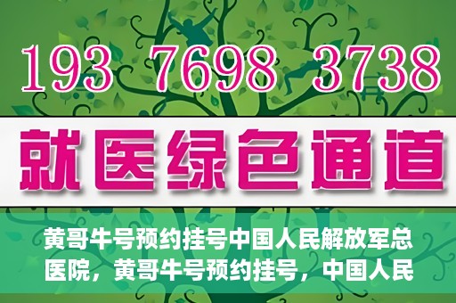 黄哥牛号预约挂号中国人民解放军总医院，黄哥牛号预约挂号，中国人民解放军总医院就医新体验