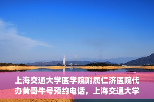 上海交通大学医学院附属仁济医院代办黄哥牛号预约电话，上海交通大学医学院附属仁济医院预约挂号电话联系黄哥牛号服务
