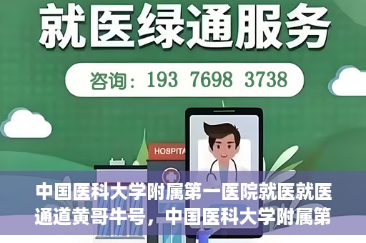 中国医科大学附属第一医院就医就医通道黄哥牛号，中国医科大学附属第一医院就医通道详解，黄哥牛号引领就医新体验