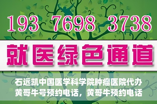石远凯中国医学科学院肿瘤医院代办黄哥牛号预约电话，黄哥牛预约电话助您轻松预约石远凯教授——中国医学科学院肿瘤医院就医服务