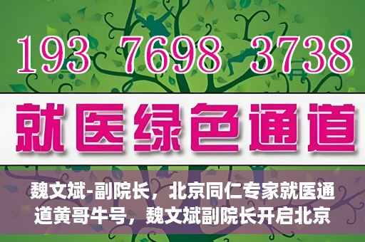 魏文斌-副院长，北京同仁专家就医通道黄哥牛号，魏文斌副院长开启北京同仁专家就医新通道，黄哥牛号引领就医新风尚