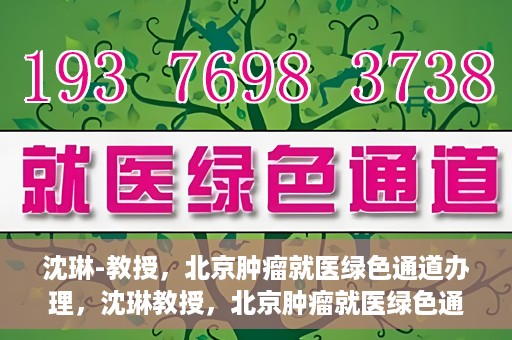 沈琳-教授，北京肿瘤就医绿色通道办理，沈琳教授，北京肿瘤就医绿色通道详解及办理指南