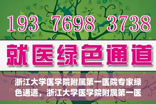 浙江大学医学院附属第一医院专家绿色通道，浙江大学医学院附属第一医院专家绿色通道，高效医疗服务的探索与实践