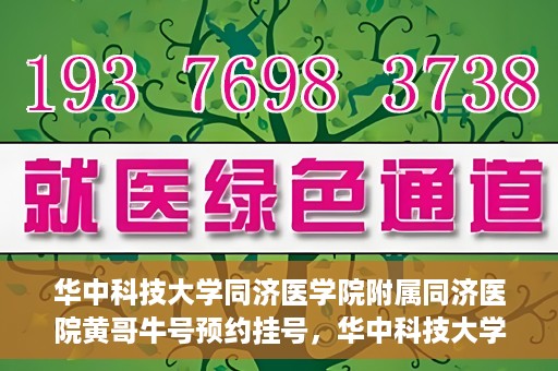 华中科技大学同济医学院附属同济医院黄哥牛号预约挂号，华中科技大学同济医院黄哥牛号预约挂号攻略