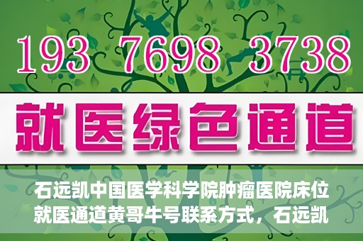 石远凯中国医学科学院肿瘤医院床位就医通道黄哥牛号联系方式，石远凯教授，中国医学科学院肿瘤医院床位就医指南与联系方式揭秘