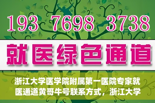 浙江大学医学院附属第一医院专家就医通道黄哥牛号联系方式，浙江大学医学院附属第一医院专家就医通道，黄哥牛号联系方式全解析