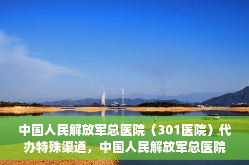 中国人民解放军总医院（301医院）代办特殊渠道，中国人民解放军总医院（301医院）特殊渠道代办服务解析