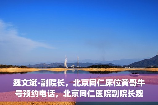 魏文斌-副院长，北京同仁床位黄哥牛号预约电话，北京同仁医院副院长魏文斌，床位预约热线与黄哥牛号的故事