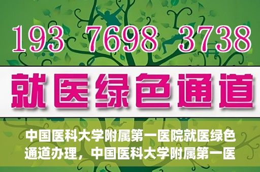 中国医科大学附属第一医院就医绿色通道办理，中国医科大学附属第一医院就医绿色通道办理详解，快速便捷就医体验新篇章