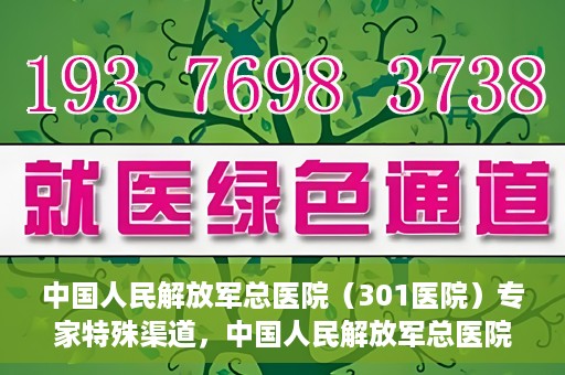 中国人民解放军总医院（301医院）专家特殊渠道，中国人民解放军总医院（301医院）专家特殊渠道揭秘，权威医疗资源的独特对接方式