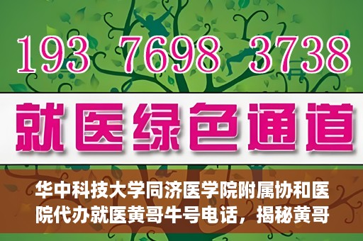 华中科技大学同济医学院附属协和医院代办就医黄哥牛号电话，揭秘黄哥牛号电话背后的华中科技大学同济医学院附属协和医院代办就医服务内幕