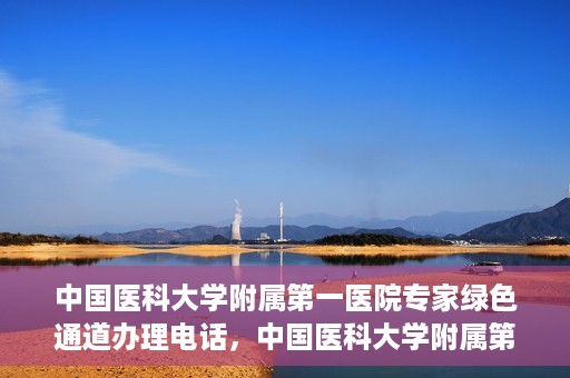 中国医科大学附属第一医院专家绿色通道办理电话，中国医科大学附属第一医院专家绿色通道服务热线电话揭秘