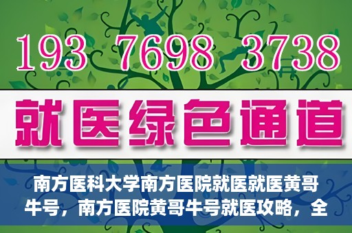 南方医科大学南方医院就医就医黄哥牛号，南方医院黄哥牛号就医攻略，全方位解析就医流程与体验