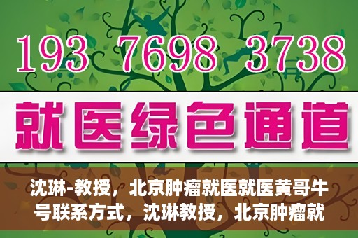 沈琳-教授，北京肿瘤就医就医黄哥牛号联系方式，沈琳教授，北京肿瘤就医指南及黄哥牛号联系方式揭秘