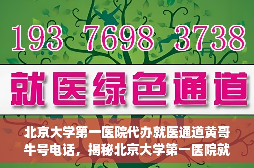 北京大学第一医院代办就医通道黄哥牛号电话，揭秘北京大学第一医院就医通道代办人黄哥牛号背后的故事与真相