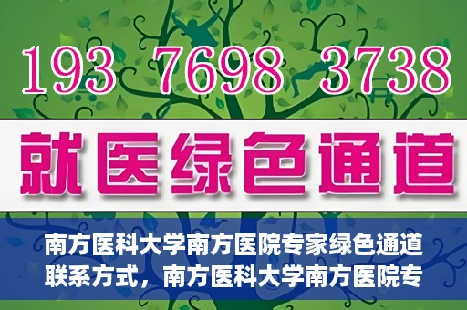 南方医科大学南方医院专家绿色通道联系方式，南方医科大学南方医院专家绿色通道联系指南，一站式解决您的健康咨询需求