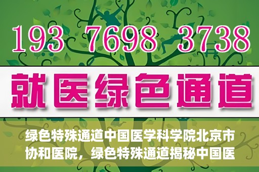 绿色特殊通道中国医学科学院北京市协和医院，绿色特殊通道揭秘中国医学科学院北京市协和医院的力量与担当