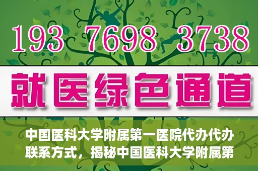 中国医科大学附属第一医院代办代办联系方式，揭秘中国医科大学附属第一医院代办联系方式，权威医疗服务的便捷通道