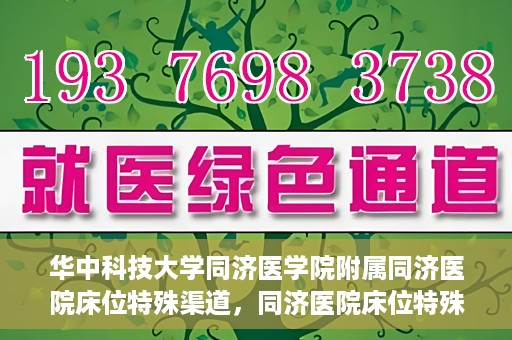 华中科技大学同济医学院附属同济医院床位特殊渠道，同济医院床位特殊渠道揭秘，华中科技大学同济医学院的权威医疗资源分配之道