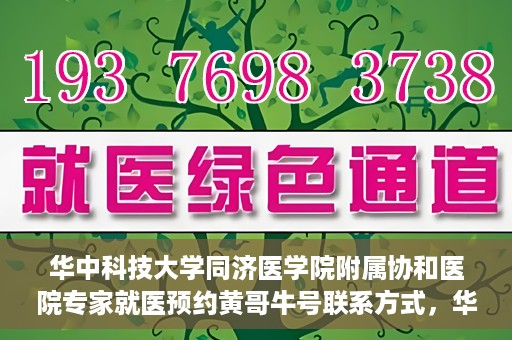 华中科技大学同济医学院附属协和医院专家就医预约黄哥牛号联系方式，华中科技大学同济医学院附属协和医院专家预约挂号联系方式及黄哥牛号就医指南