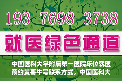 中国医科大学附属第一医院床位就医预约黄哥牛号联系方式，中国医科大学附属第一医院床位预约联系方式揭秘，黄哥牛号就医指南