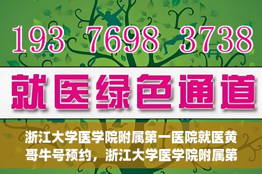 浙江大学医学院附属第一医院就医黄哥牛号预约，浙江大学医学院附属第一医院就医攻略，黄哥牛号预约详解